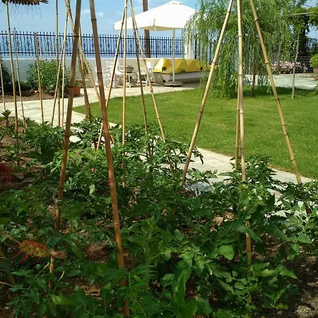 Pelion Seaside House Vakantiehuis