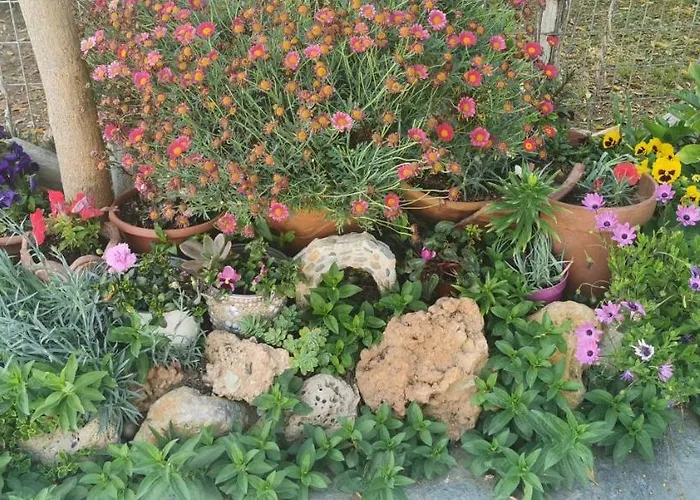 Pelion Seaside House Vakantiehuis