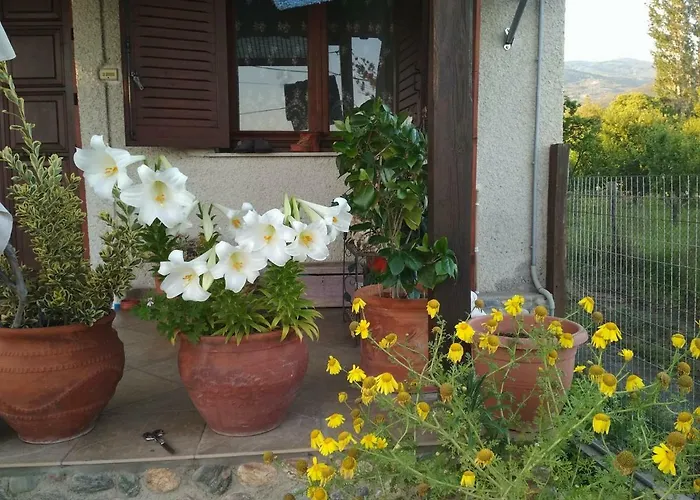 Pelion Seaside House Vakantiehuis