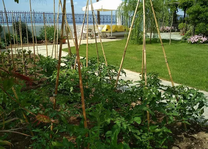 Pelion Seaside House Vakantiehuis