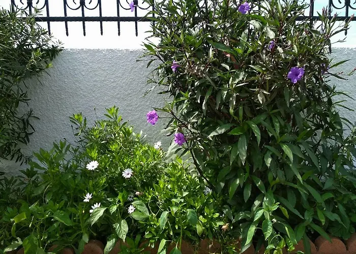 Vakantiehuis Pelion Seaside House Platanidia