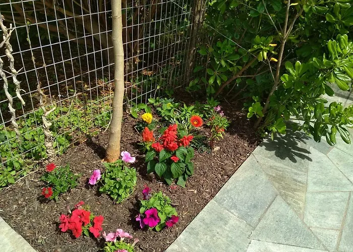 Pelion Seaside House